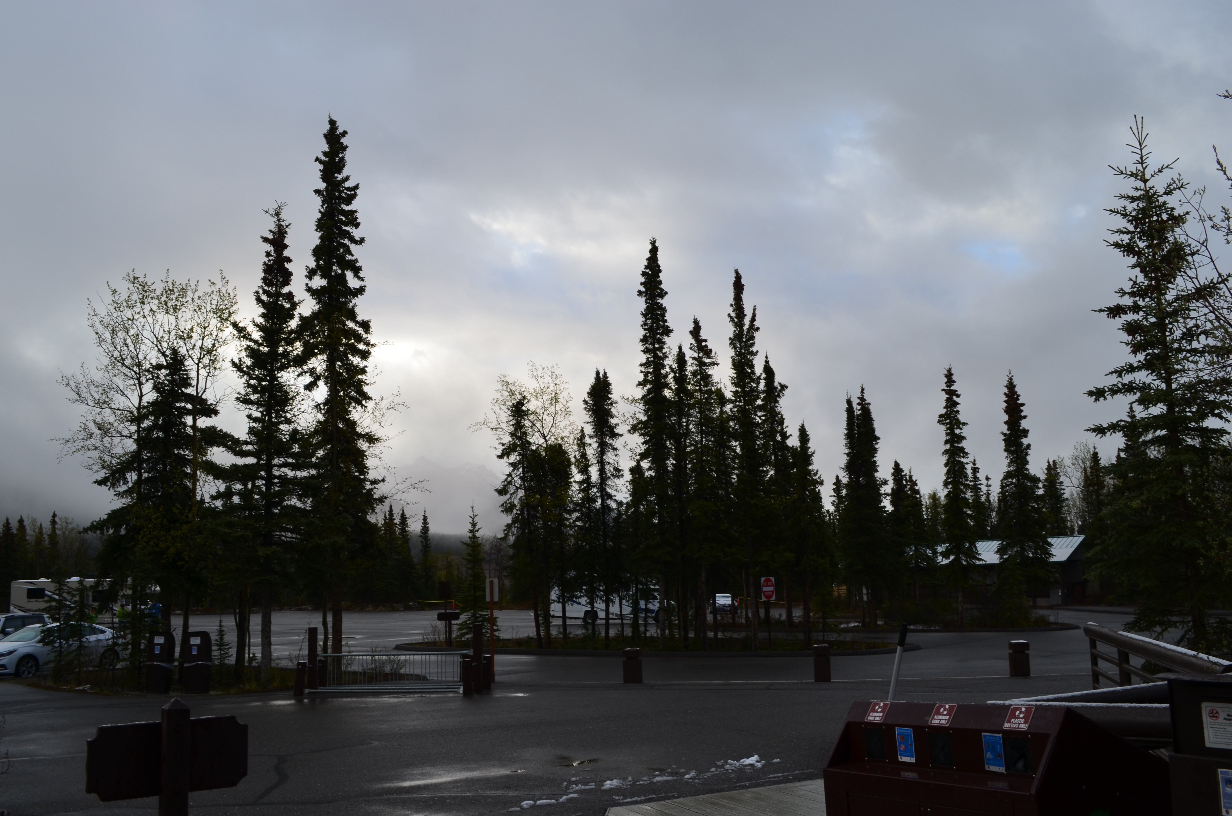 ./2017/08 - Alaska Cruise/03 - Denali/DSC_0202.JPG